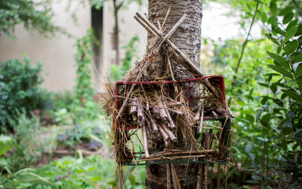Hôtel à insectes