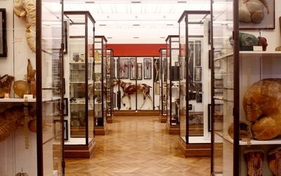 Musée Fragonard