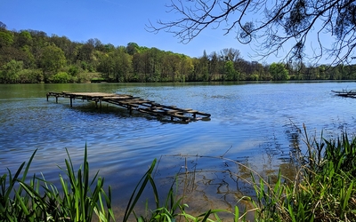 La Seine sauvage