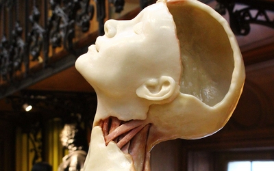 Oeuvre de Nathalie Latour