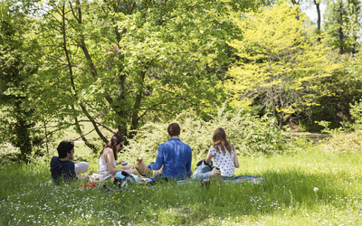 Pique-nique au Bois de Boulogne.