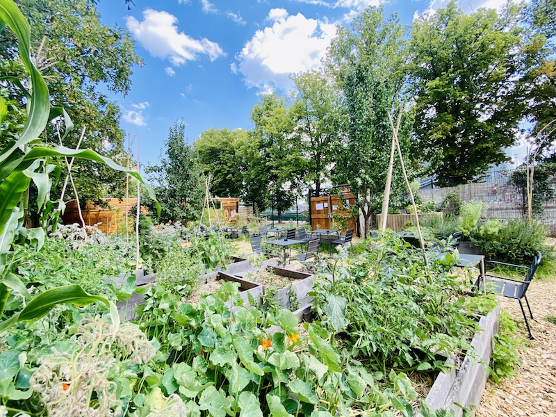 Le potager
