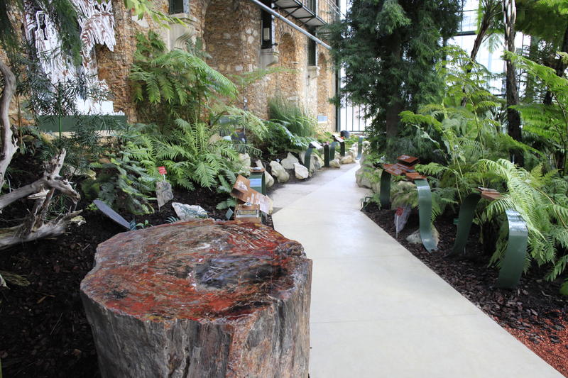 Serre du Jardin des Plantes