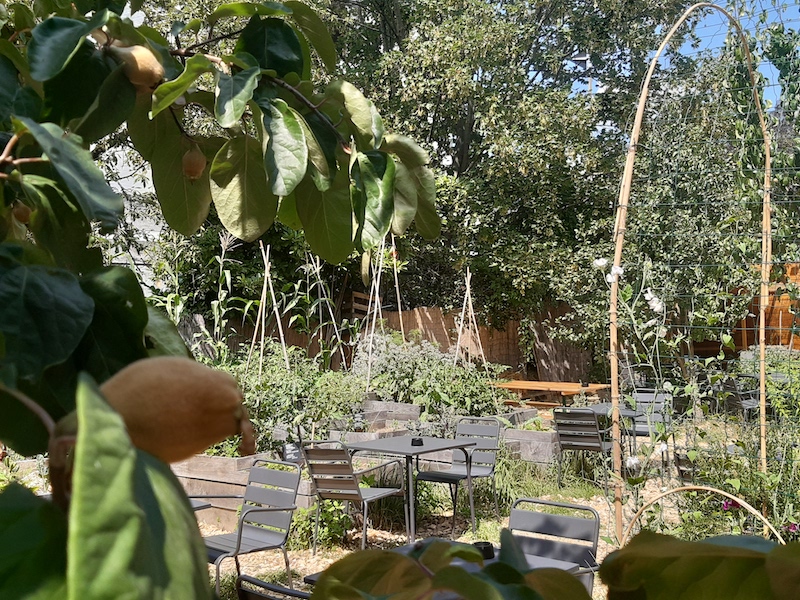Boire un verre au Jardin21
