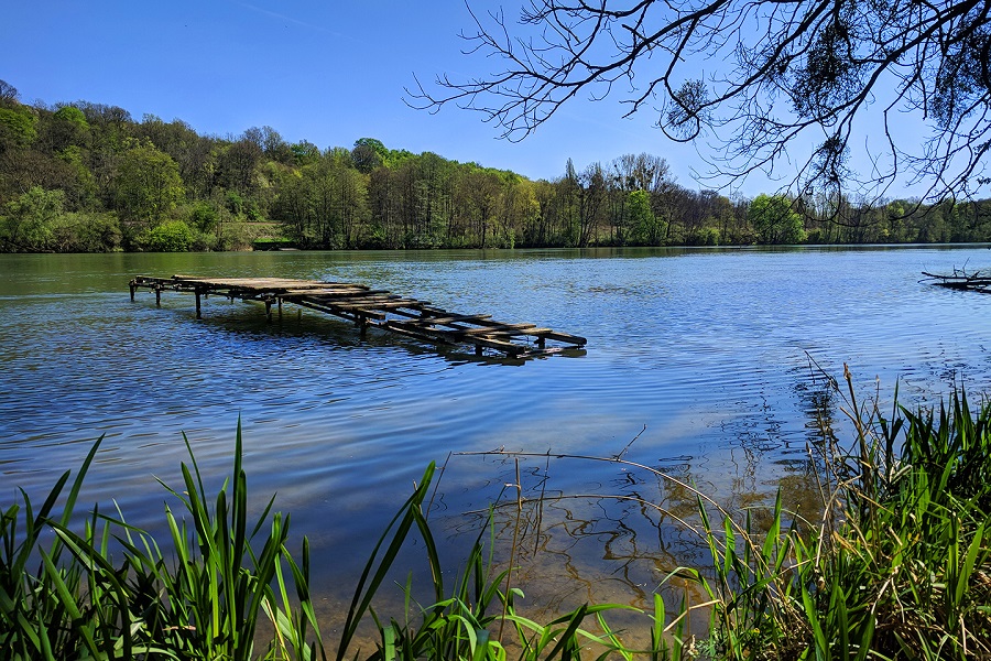 La Seine sauvage