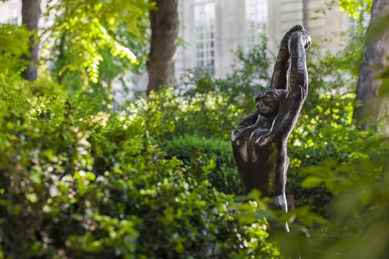 Jardin du Musée Rodin