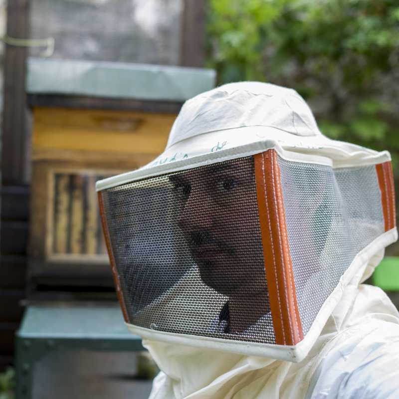 Le photographe dans la peau de l'apiculteur