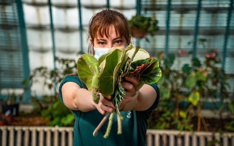 Jardinière présentant un bouquet de fleurs