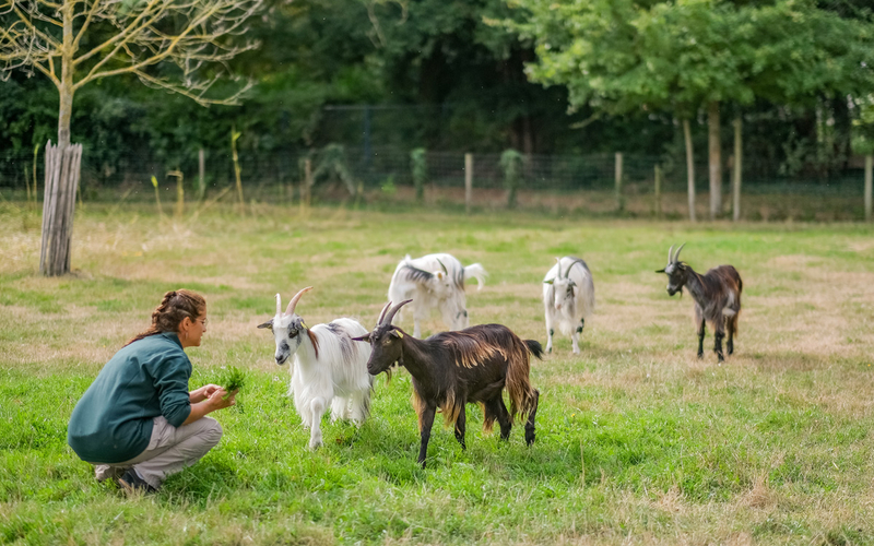 Visite de la ferme de Paris