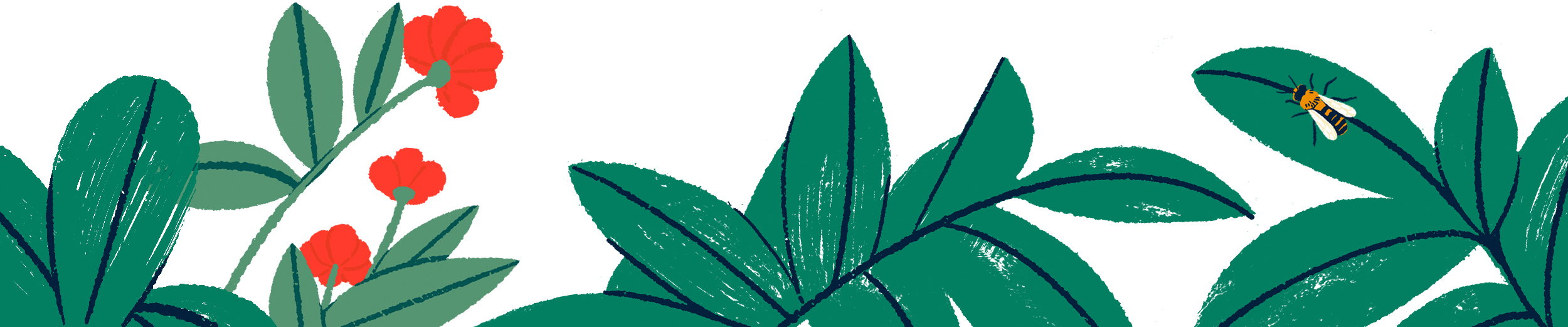Eléments illustrés de végétation avec des fleurs et une abeille