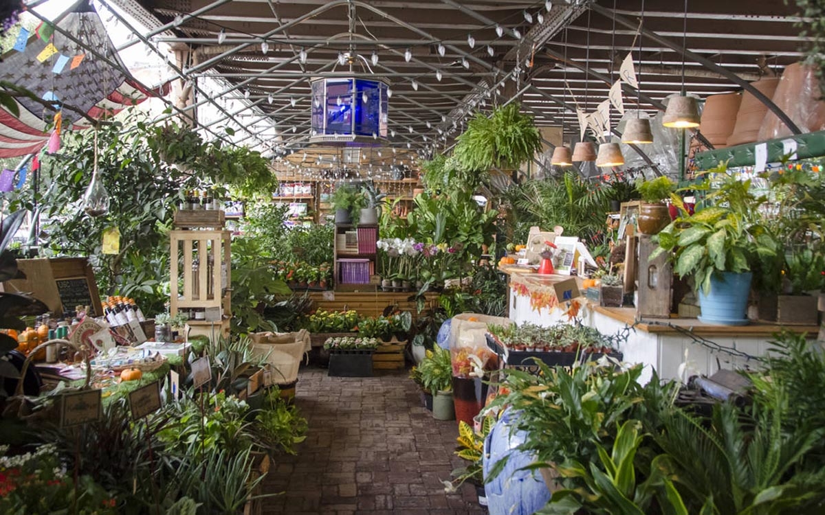 jardinerie urbaine