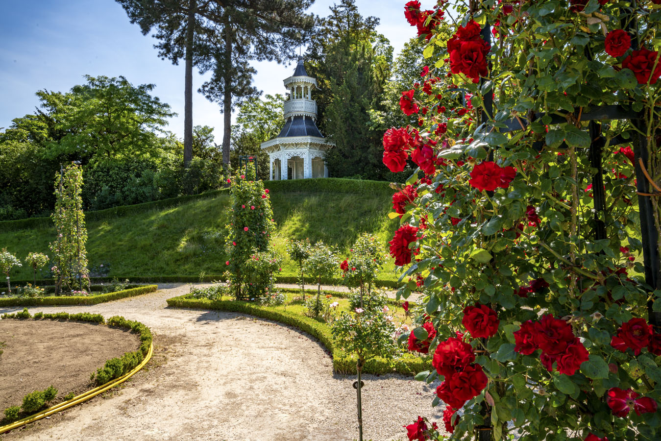 Rose garden in Bagatel Park