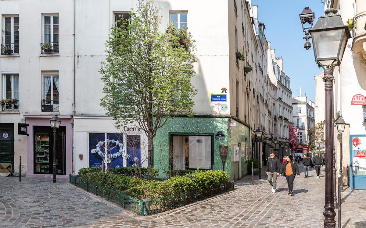 Végétalisation rue des Rosiers