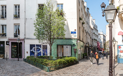 Végétalisation rue des Rosiers