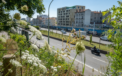 Boulevard Périphérique végétalisation