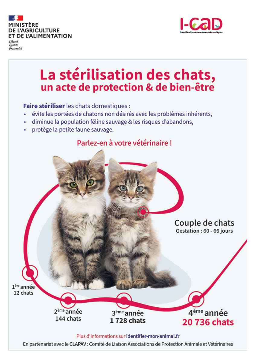Affiche de prévention pour la stérilisation des chats