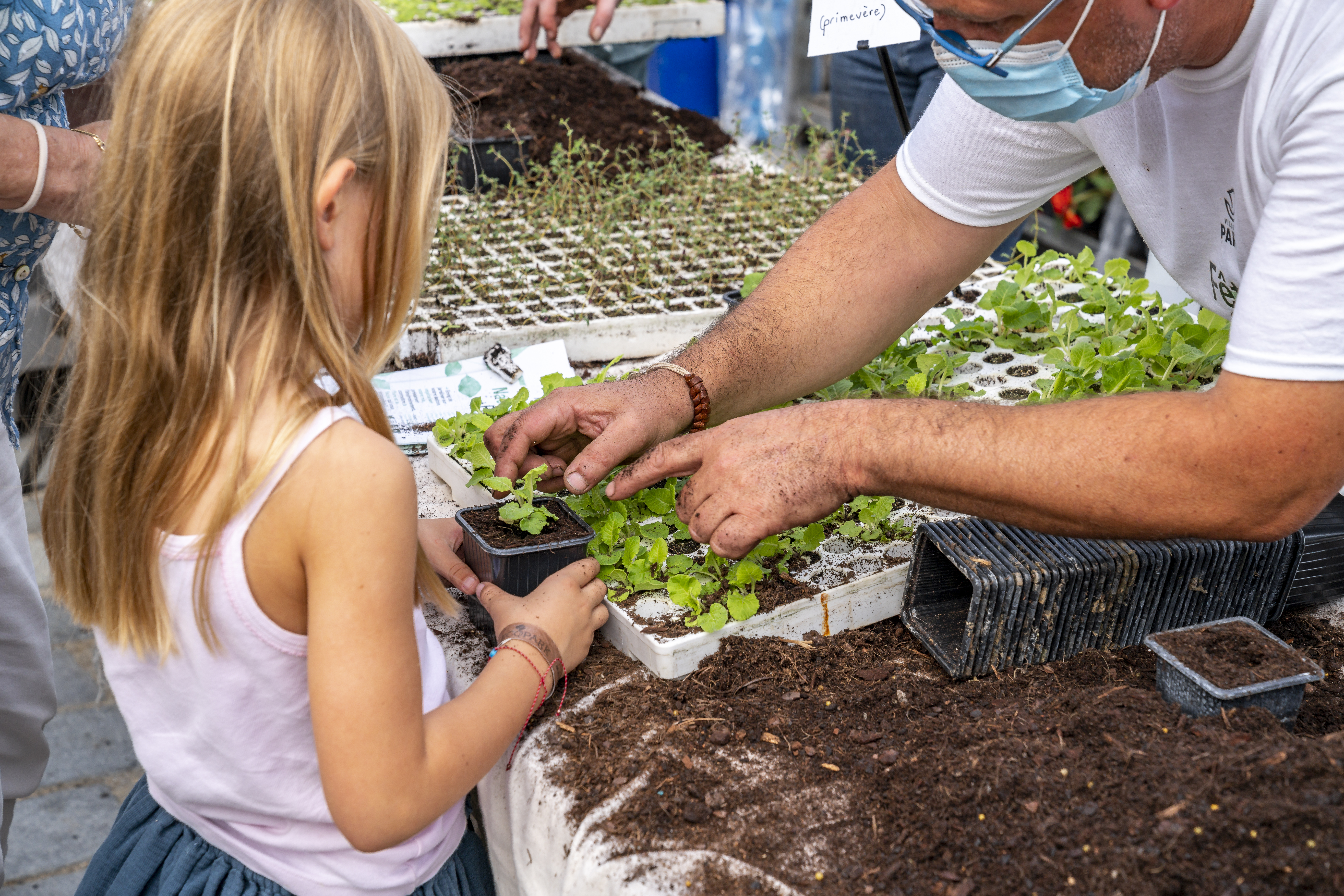 Une fillette récupère le petit pot dans lequel elle vient de rempoter une plante suivant les conseils d'un jardinier de la Ville