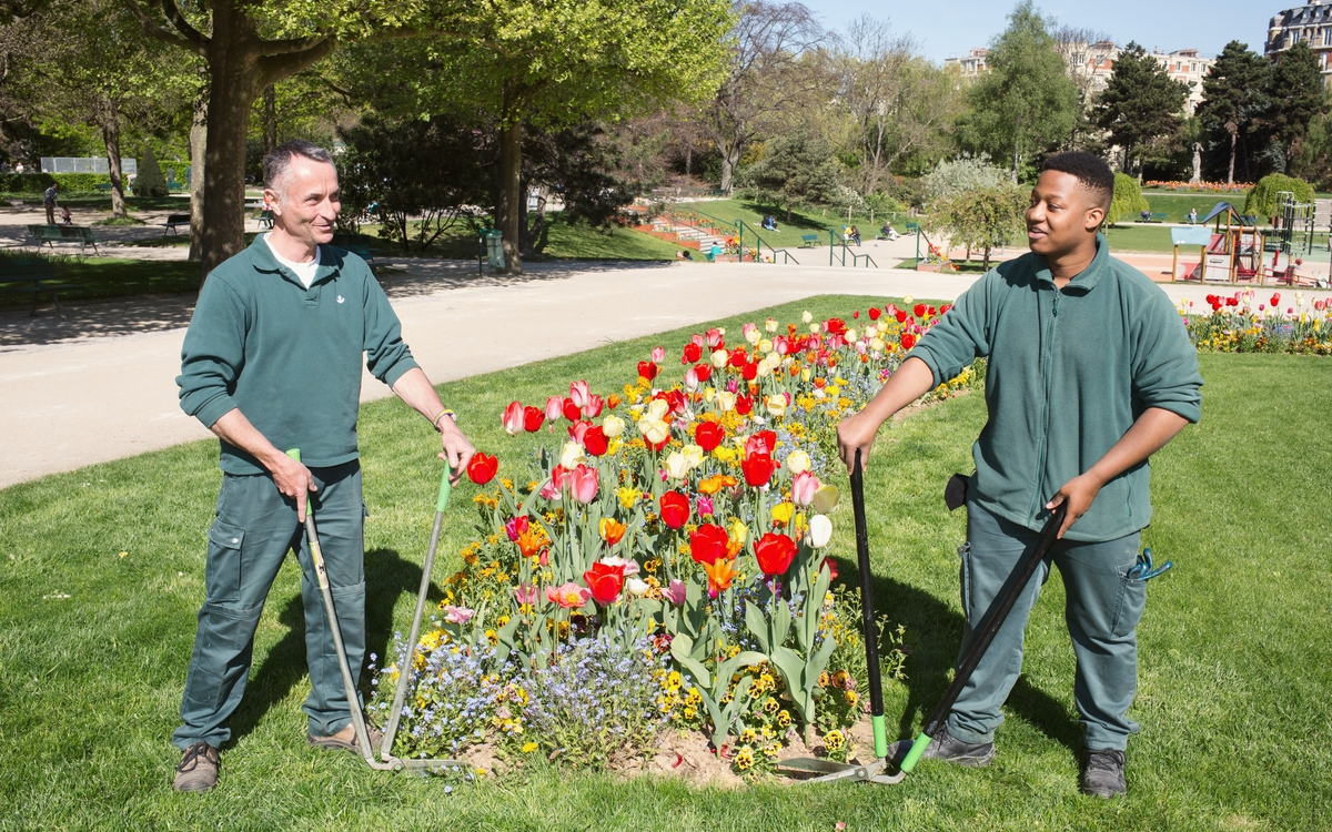 Page Services Environnement