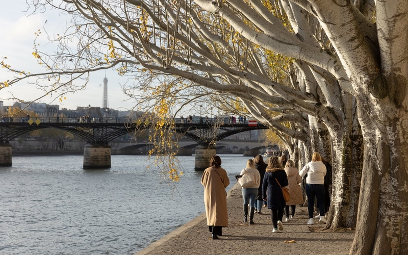 Rives de Seine