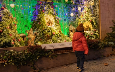 Paris enchantée Vitrine d'Alain Champeval, fleuriste de la Ville