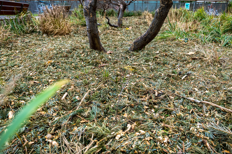 Le broyat de sapins recouvre le sol dans les espaces verts