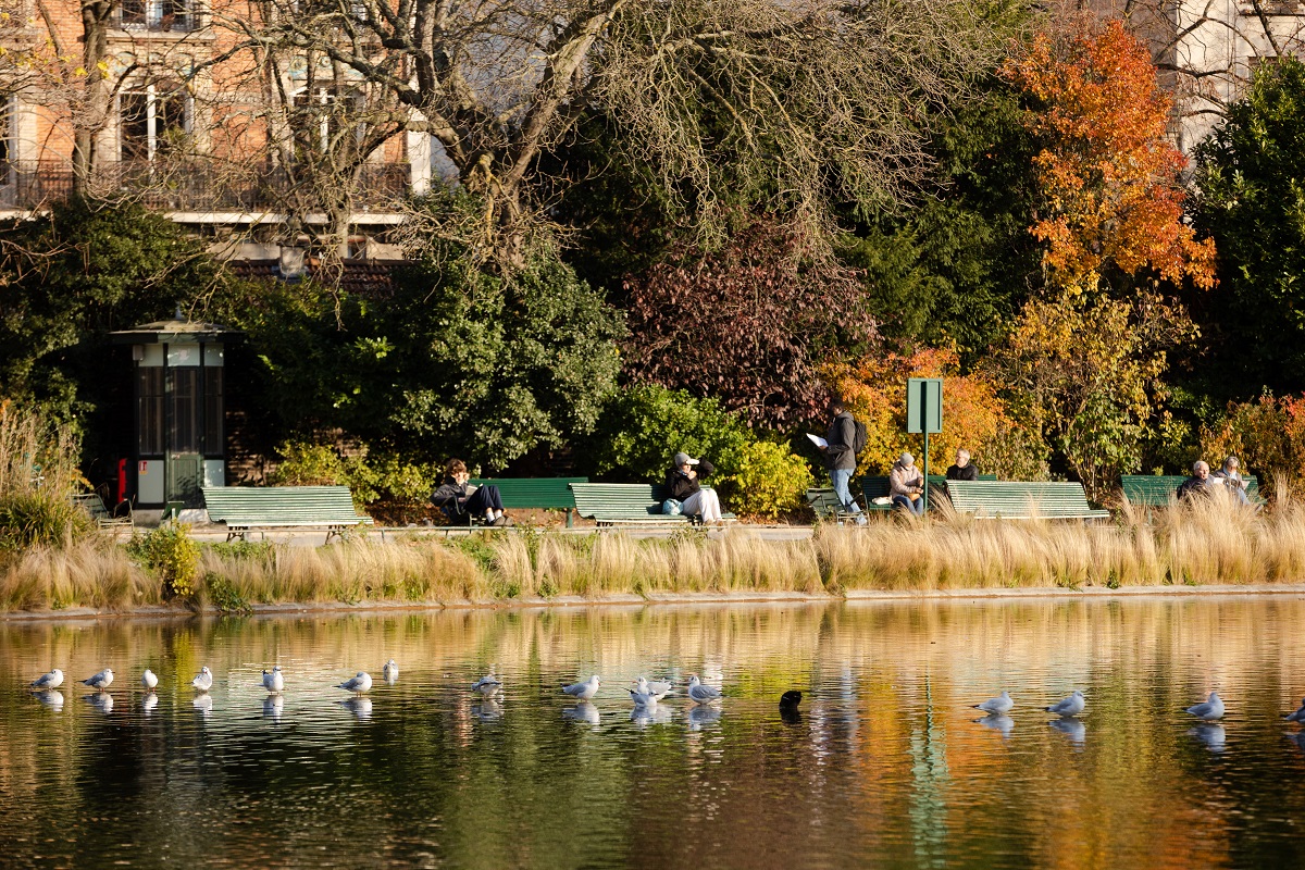 Pause contemplative au bord du lac du parc de Montsouris