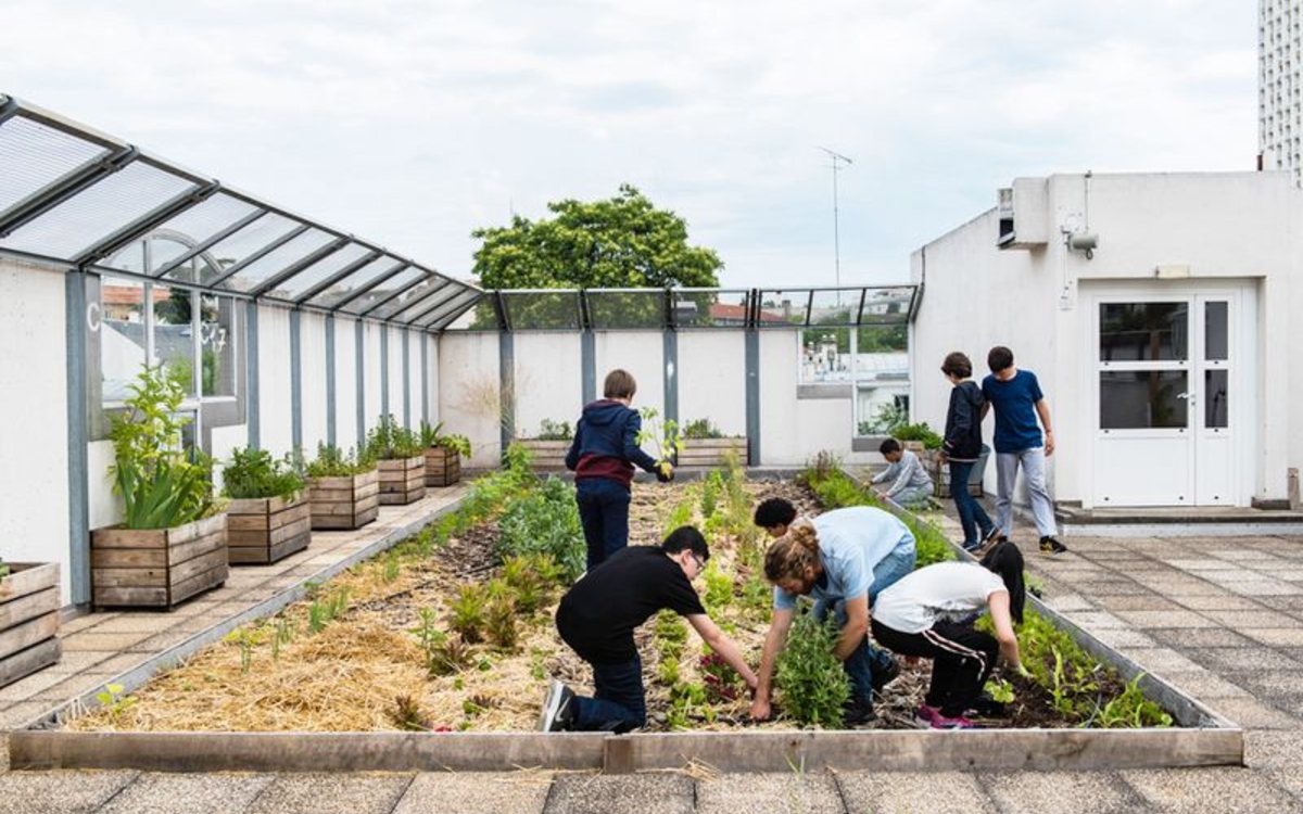 Potager collège Flora Tristan 20e