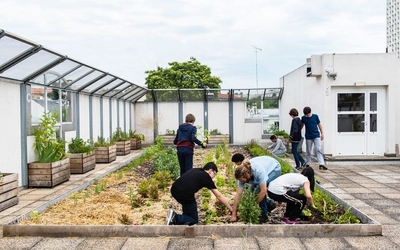 Potager collège Flora Tristan 20e