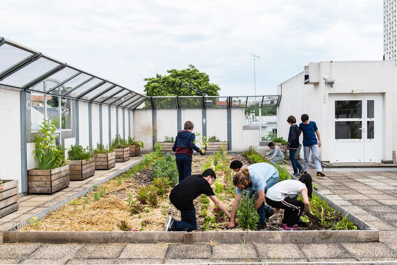 Potager collège Flora Tristan 20e