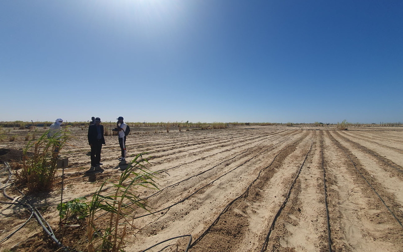 Paris accompagne la Mauritanie pour des projets d’agriculture urbaine