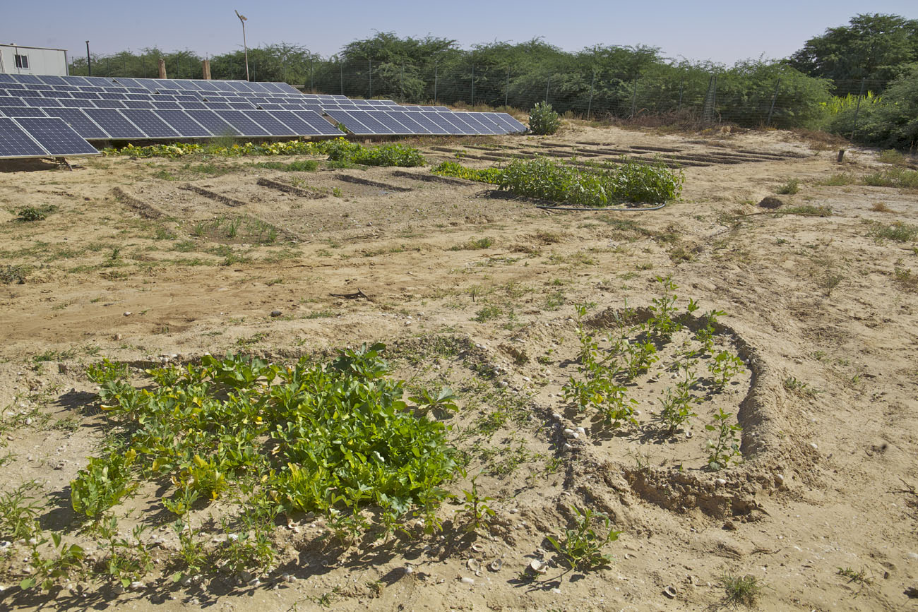 Paris accompagne la Mauritanie pour des projets d’agriculture urbaine