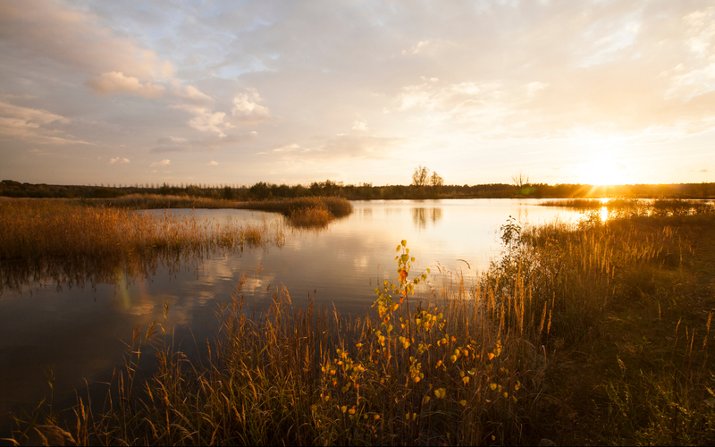 Réserve naturelle régionale du Grand-Voyeux