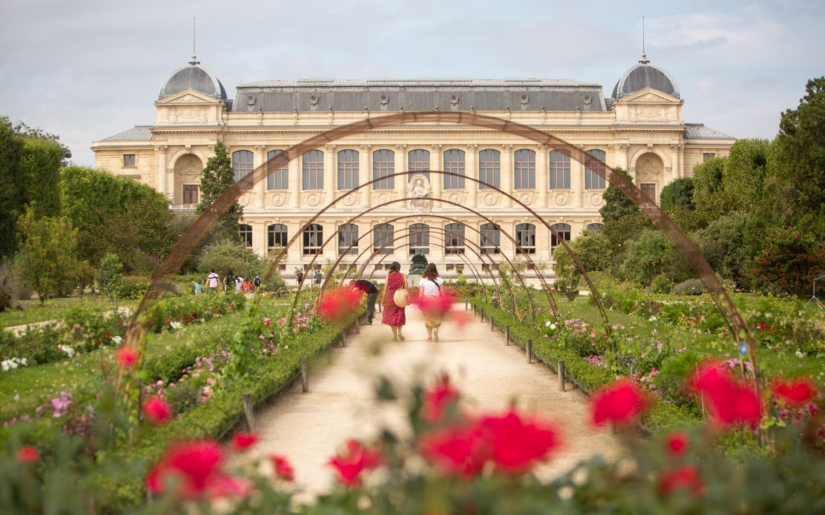 Le jardin des Plantes