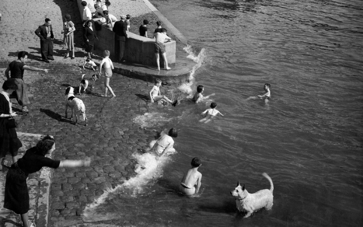 Baignade Dans La Seine : Un Juste Retour Aux - Ville De Paris