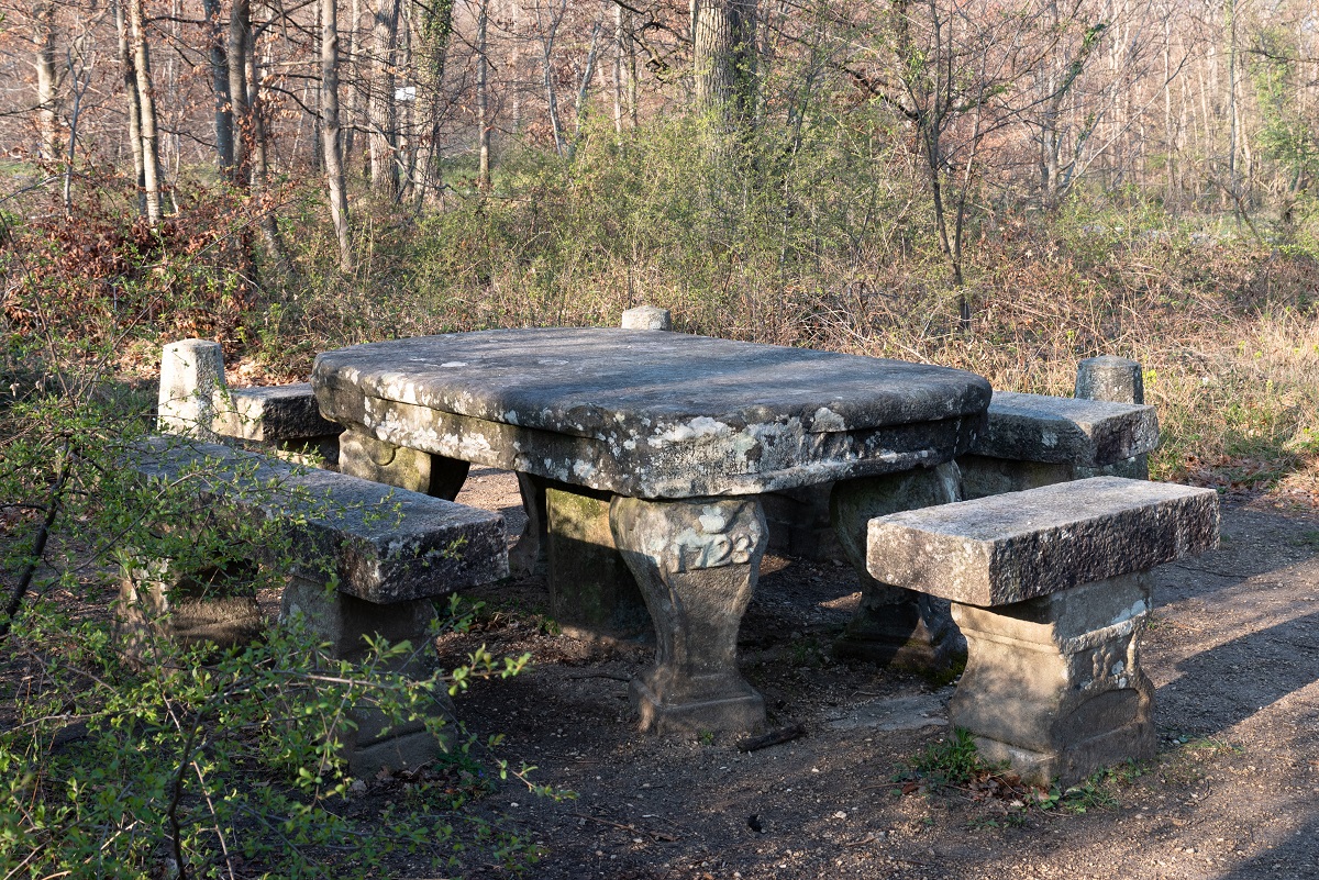 Table des rois, Forêt de Fontainebleau.