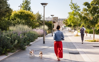 Une femme promenant ses chiens le long de la promenade Claude Lévi-Strauss  (13e)