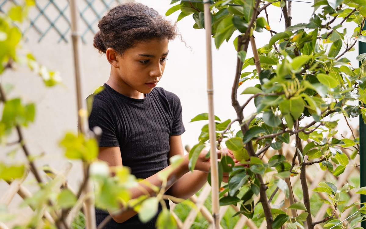 Cour Oasis école 315 rue de Charenton