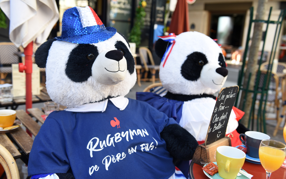 Ambiance coupe du monde de Rugby
