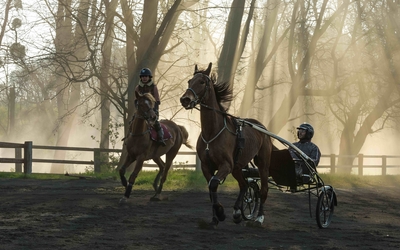 Mon Premier Festival 2023 - Tempête de Christian Duguay