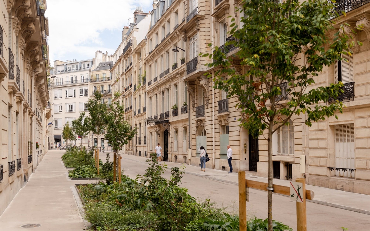 Rue végétalisée rue de Florence (8ème)