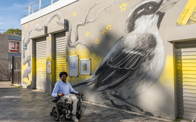 Personne en fauteuil roulant électrique devant une fresque d'oiseau sur le mur d'une bibliothèque