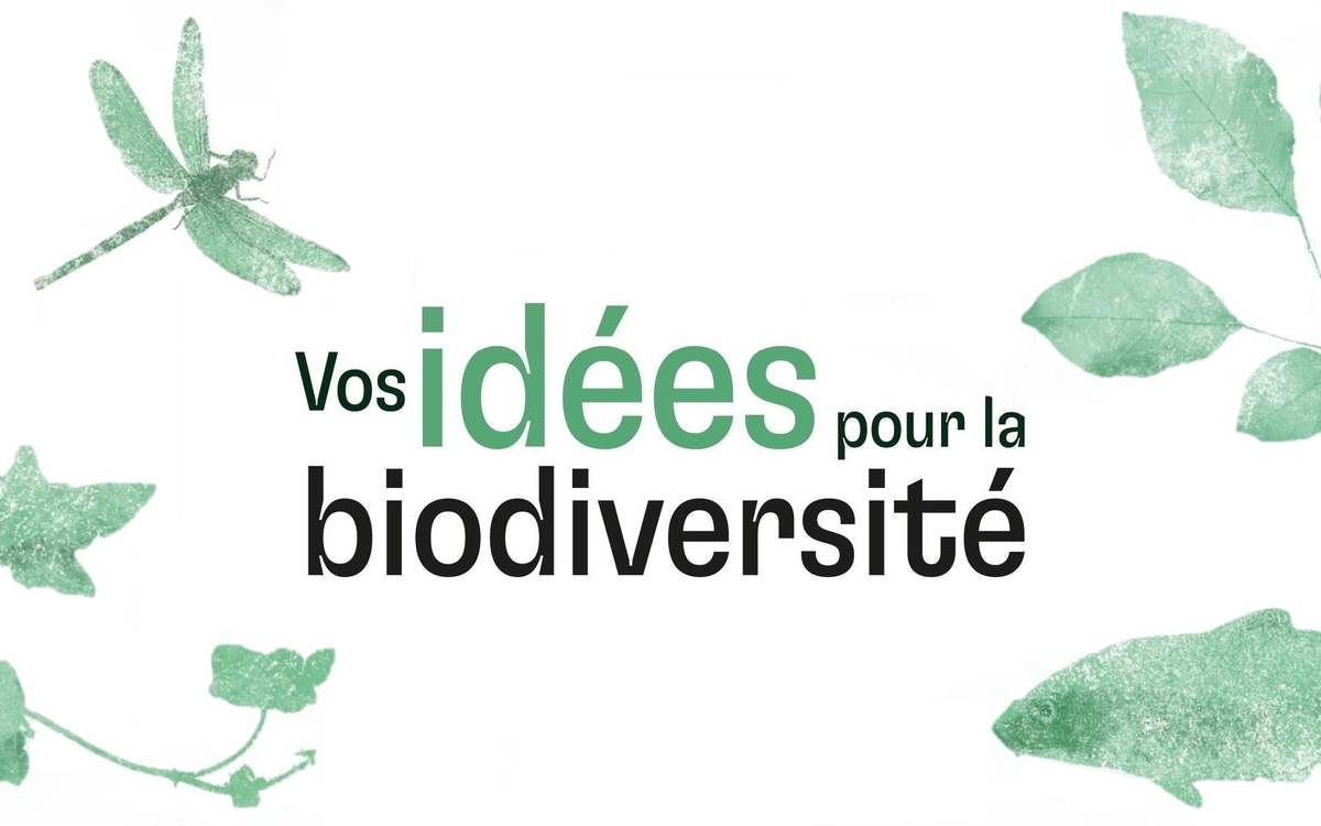 Visuel : """Vos idées pour la biodiversité"