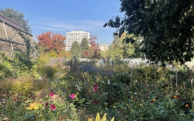 Production de fleur à côté du cimetière de Belleville