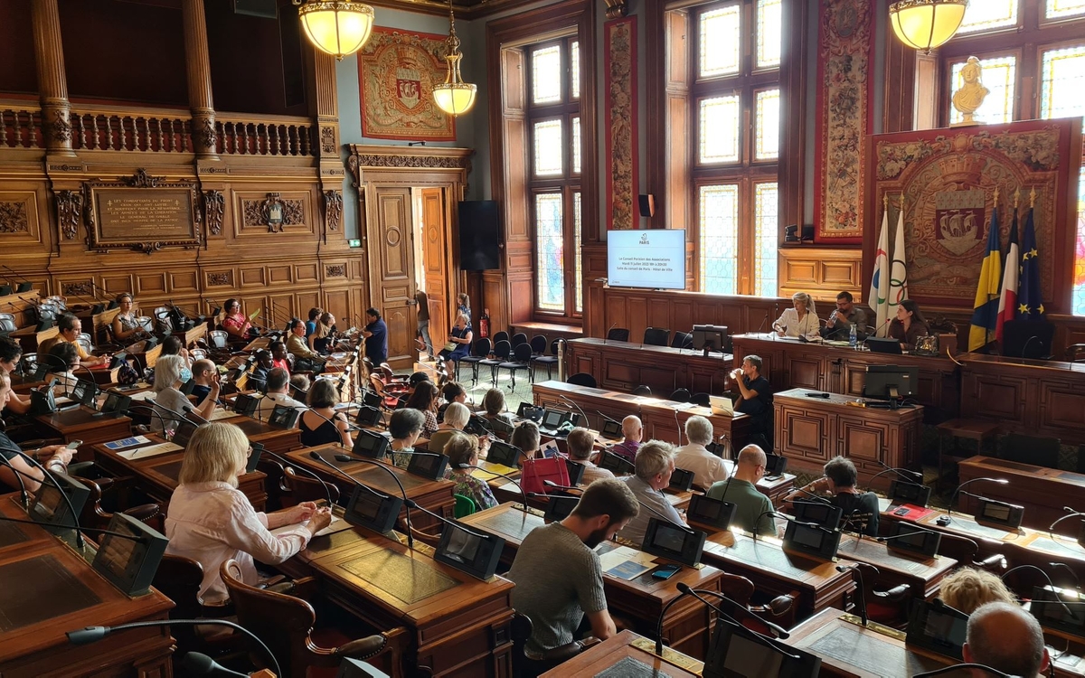 Plénière CPA 84 associations représentées