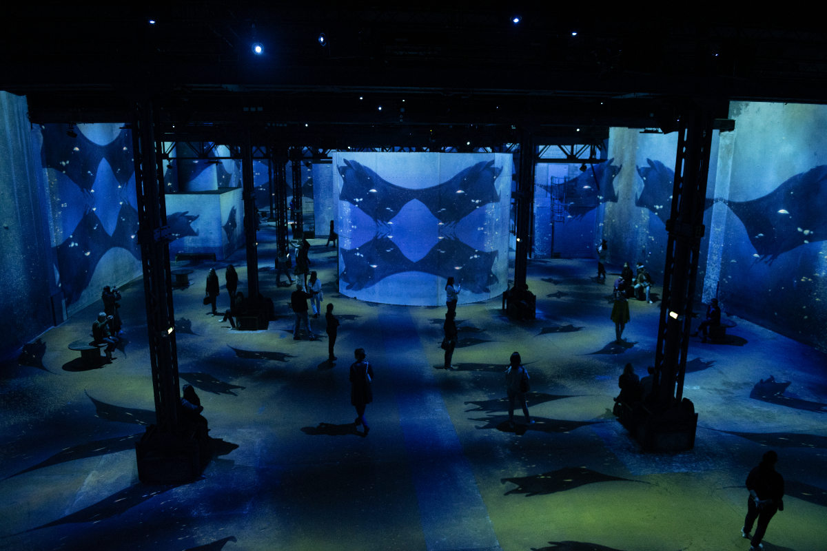 Océans, l'Odysée immersive, à l'Atelier des Lumières (11e). 