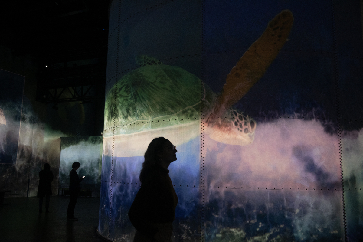 Océans, l'Odysée immersive, à l'Atelier des Lumières (11e). 