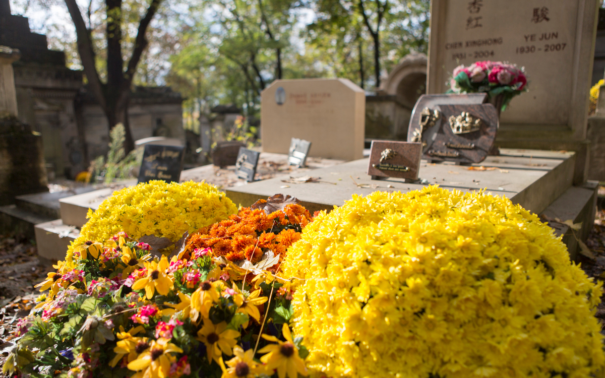 Chrysanthèmes au cimetière du Père Lachaise, durant la Toussaint.