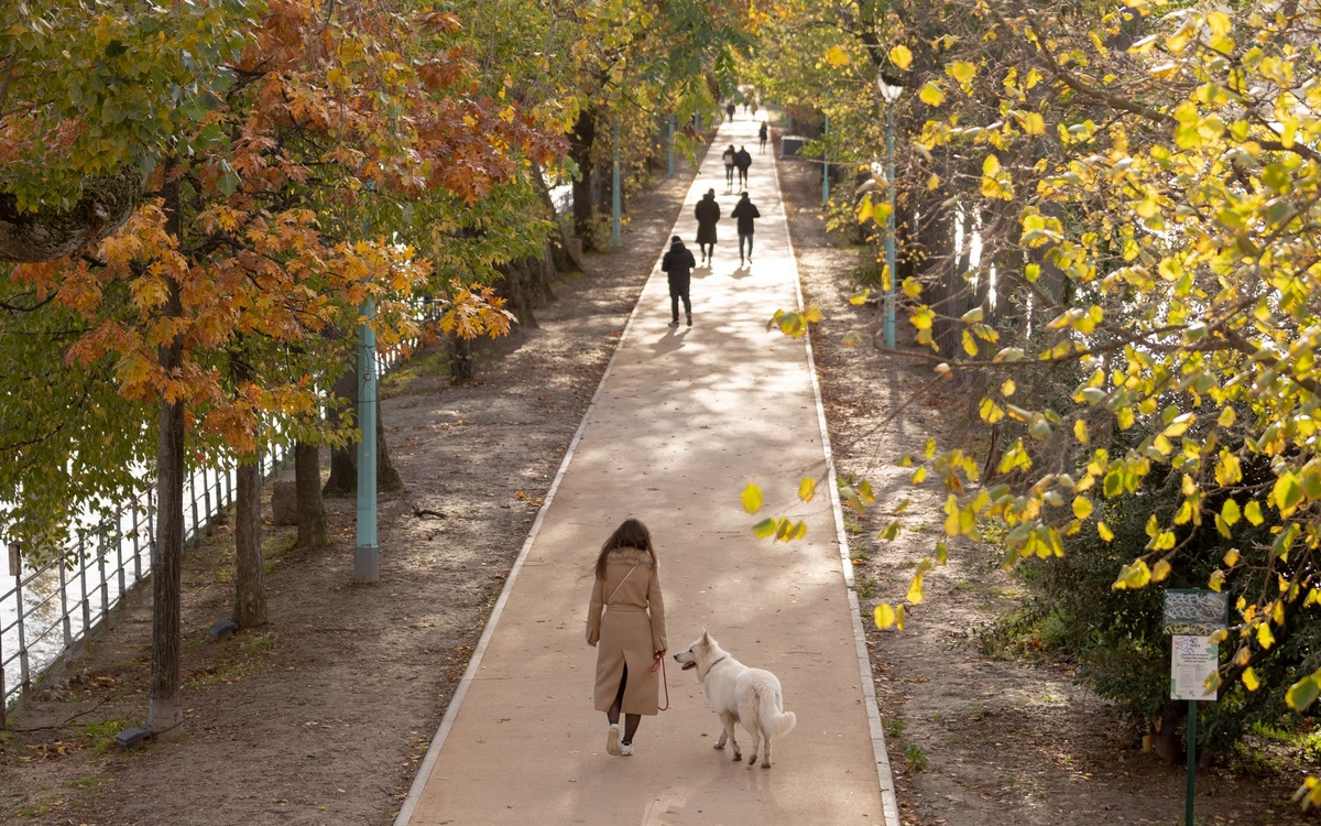 Promeneurs sur l'île aux Cygnes (15ème).