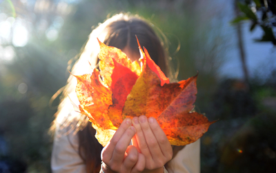 Une enfant portant dans ses main une feuille de vigne vierge aux couleurs d'automne.