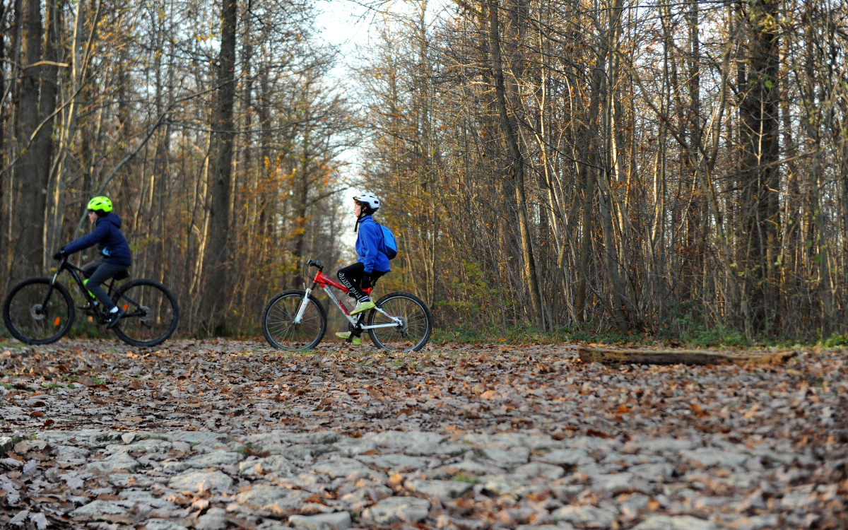 Velo discount paris 6